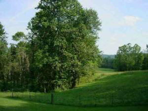 318 Wayne Beasley Rd, Huron, IN 47437 photo 3