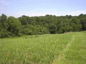 82 Silver Ln, Williams, IN 47470 photo 5