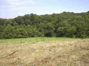 82 Silver Ln, Williams, IN 47470 photo 6