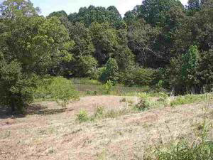 82 Silver Ln, Williams, IN 47470 photo 4