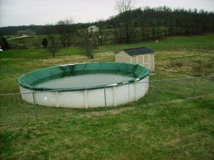 803 Cassidy Ln, Mitchell, IN 47446 photo 3