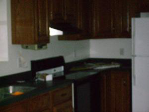 803 Cassidy Ln, Mitchell, IN 47446 photo 4