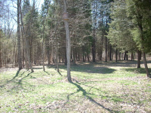 1566 Stonington Rd, Mitchell, IN 47446 photo 8