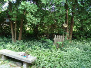 4410 Sandpit Rd, Bedford, IN 47421 photo 16