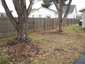 1608 13th St, Bedford, IN 47421 photo 13