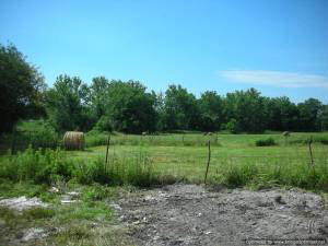 1099 Springville Judah Rd, Springville, IN 47462 photo 16
