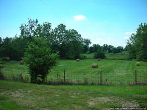 1099 Springville Judah Rd, Springville, IN 47462 photo 18