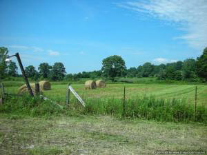 1099 Springville Judah Rd, Springville, IN 47462 photo 15