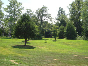 760 Bryantsville Rd, Mitchell, IN 47446 photo 9