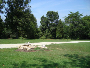 760 Bryantsville Rd, Mitchell, IN 47446 photo 14