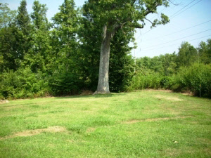 663 E Guthrie Rd, Bedford, IN 47421 photo 19
