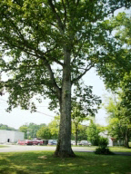 663 E Guthrie Rd, Bedford, IN 47421 photo 14