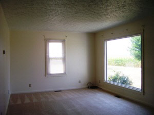298 Woods Ln, Mitchell, IN 47446 photo 4