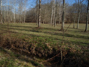 1 Walnut Heights Rd, Bedford, IN 47421 photo 21