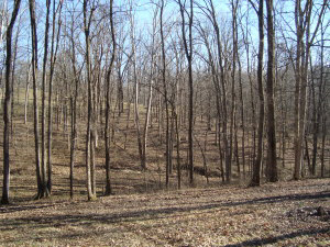 1 Walnut Heights Rd, Bedford, IN 47421 photo 18