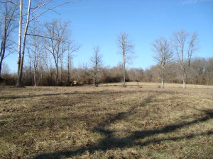 1 Walnut Heights Rd, Bedford, IN 47421 photo 19