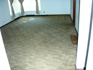 3478 Old Vincennes Rd, Mitchell, IN 47446 photo 2