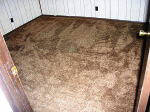 3478 Old Vincennes Rd, Mitchell, IN 47446 photo 5