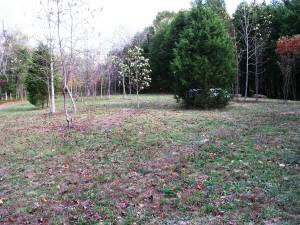 4 Eastern Heights Ln, Bedford, IN 47421 photo 7