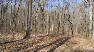 11639 Williams Rd, Williams, IN 47470 photo 15