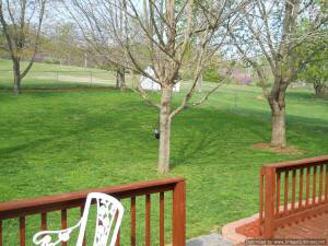 701 Vista Dr, Oolitic, IN 47451 photo 26