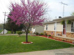 701 Vista Dr, Oolitic, IN 47451 photo 22