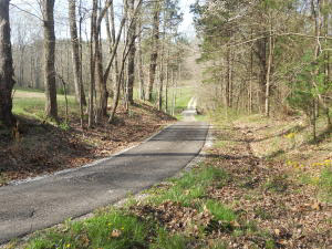 1479 Meadows Church Rd, Heltonville, IN 47436 photo 27