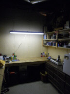 1479 Meadows Church Rd, Heltonville, IN 47436 photo 11