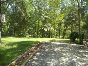 1479 Meadows Church Rd, Heltonville, IN 47436 photo 14