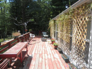 1479 Meadows Church Rd, Heltonville, IN 47436 photo 22