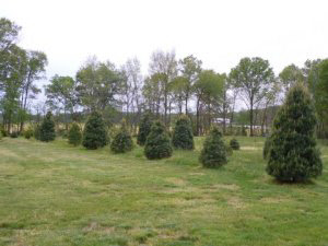 1309 Avoca-eureka Rd, Bedford, IN 47421 photo 26
