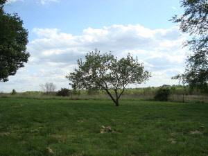 450 Bud Ikerd Rd, Bedford, IN 47421 photo 16