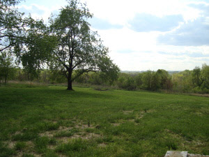 450 Bud Ikerd Rd, Bedford, IN 47421 photo 18
