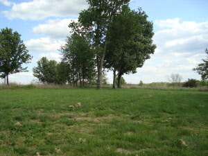 450 Bud Ikerd Rd, Bedford, IN 47421 photo 17