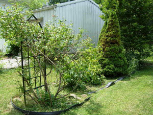 1721 E St, Bedford, IN 47421 photo 9