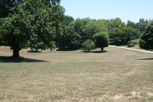 904 Kelso Rd, Mitchell, IN 47446 photo 2