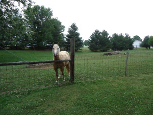 95 Erie Church Rd, Bedford, IN 47421 photo 23