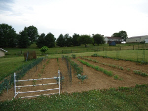 95 Erie Church Rd, Bedford, IN 47421 photo 9