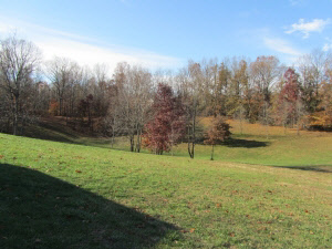 528 Benham Ln, Springville, IN 47462 photo 2