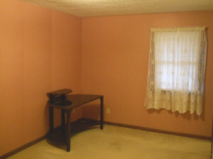 133 Pleasant View Dr, Mitchell, IN 47446 photo 9