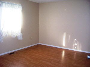 351 E Wilson St, Orleans, IN 47452 photo 4