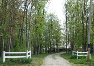 767 Bono Rd, Mitchell, IN 47446 photo 2