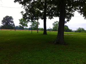 797 Davey Cox Rd, Mitchell, IN 47446 photo 10