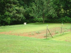 3389 Popcorn Rd, Springville, IN 47462 photo 5