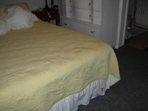 1621 Pleasant Run Rd, Heltonville, IN 47436 photo 9