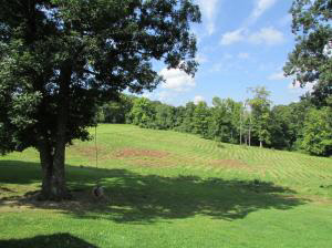 4769 County Road 310 W, Paoli, IN 47454 photo 6