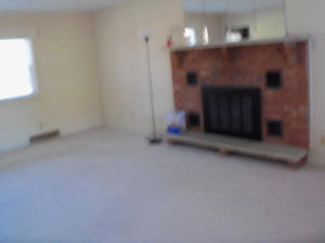 136 White Ln, Bedford, IN 47421 photo 5
