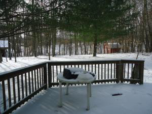 1085 Middle Leesville Rd, Bedford, IN 47421 photo 17