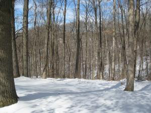 1499 Dutch Ridge Rd, Heltonville, IN 47436 photo 18