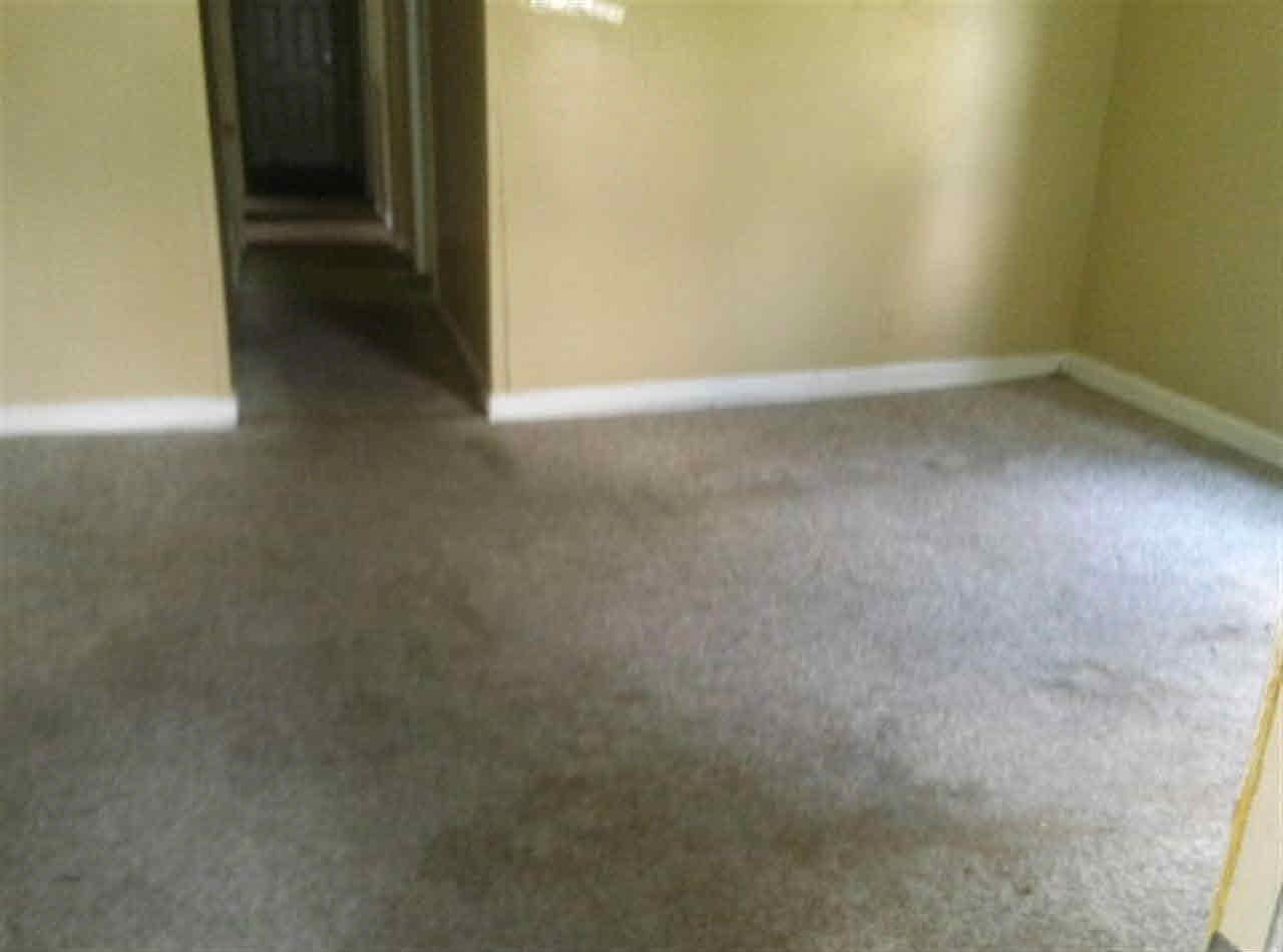 1803 E Hines St, Muncie, IN 47303 photo 8